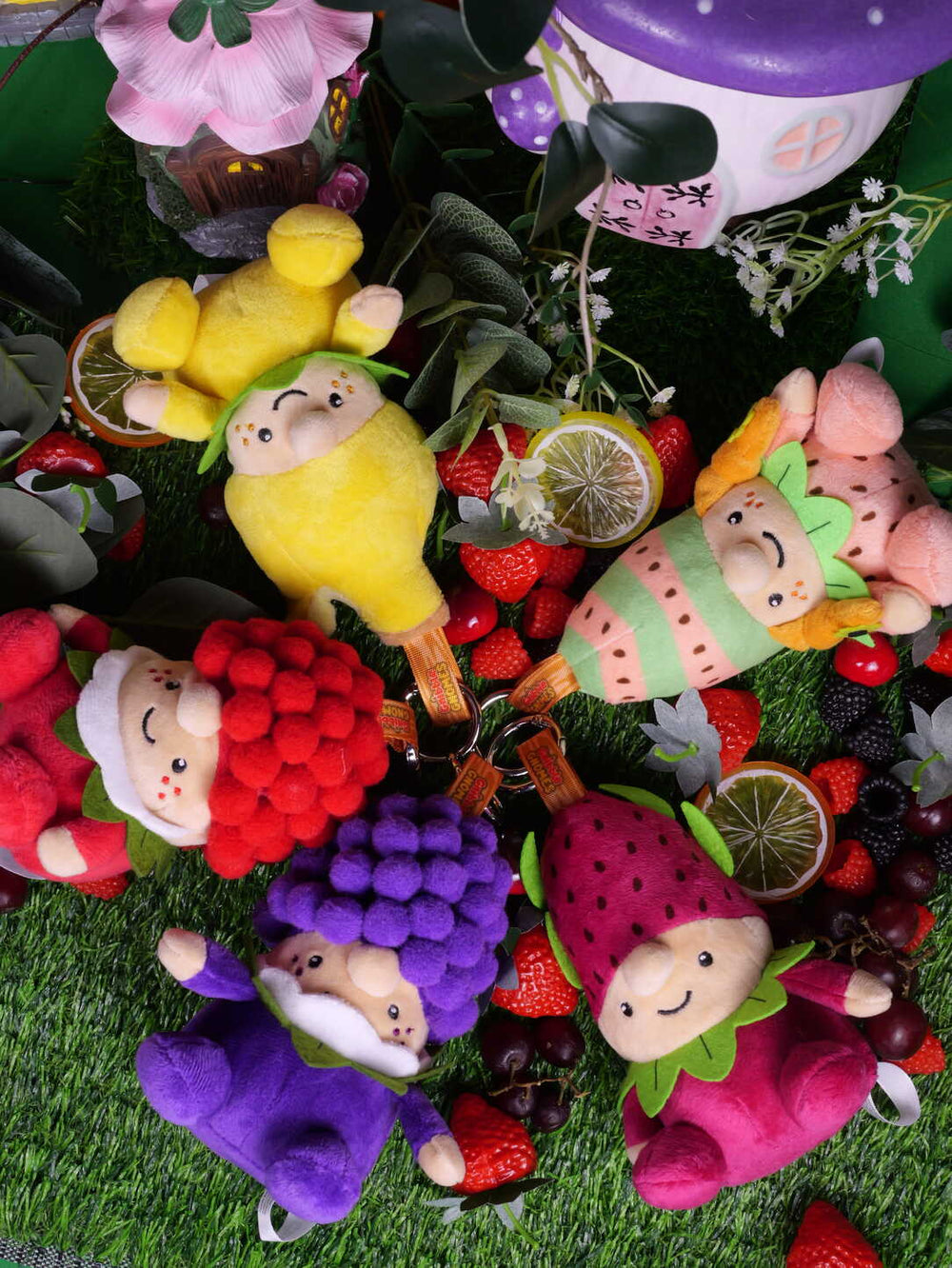 MEET THE GNIBBLE GNOMES