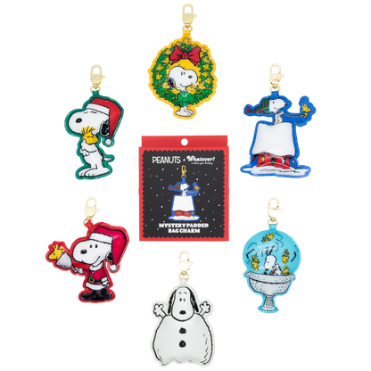 Peanuts Snoopy Winter Scenes Mystery Box Padded Vinyl Bag Charms